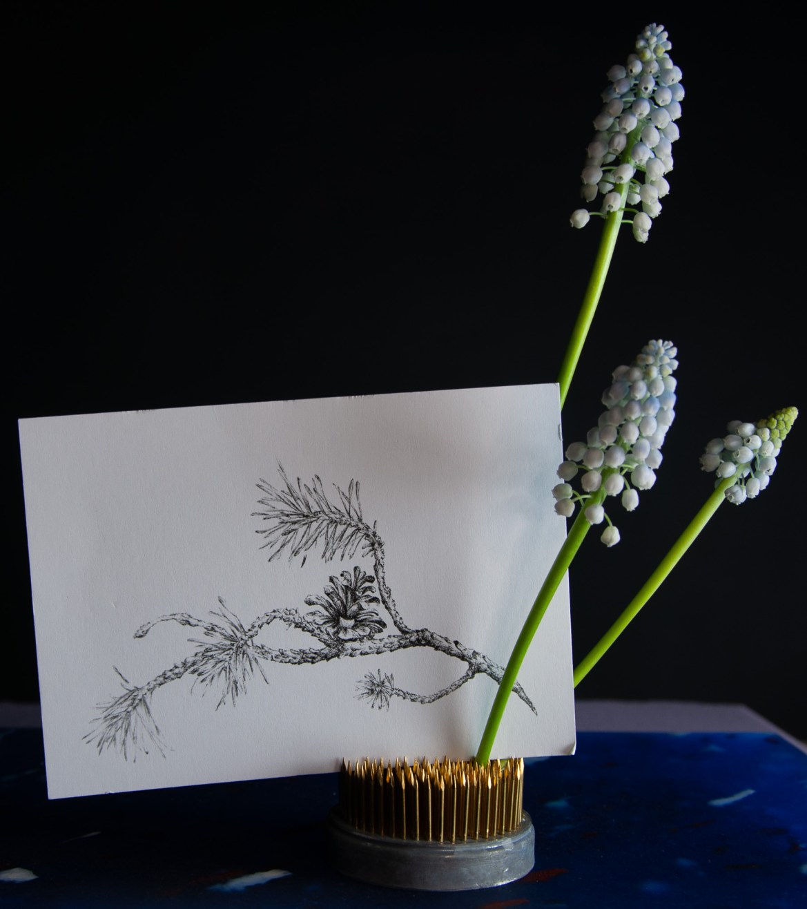 Blumengalerie-Shop-Grusskarten-Ast mit Zapfen.jpg